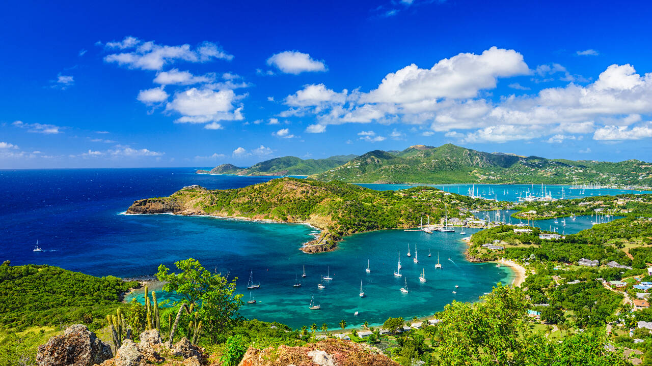 The Redonda restoration program started in 2016 with early work concentrating on eradicating invasive species that had ravaged the island’s ecosystem.