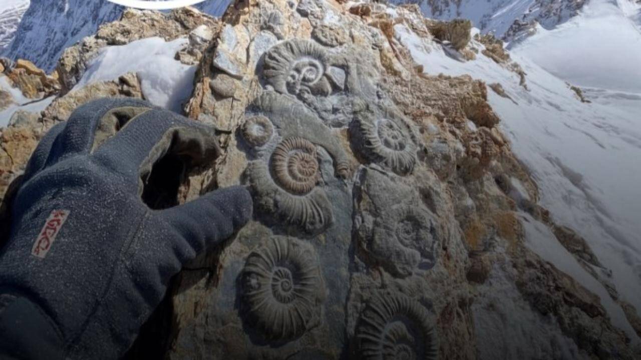 Fossils at Everest