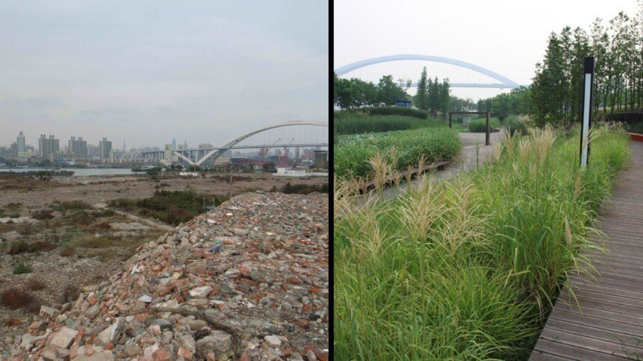 In 2010, Shanghai turned a polluted industrial brownfield into Houtan Park