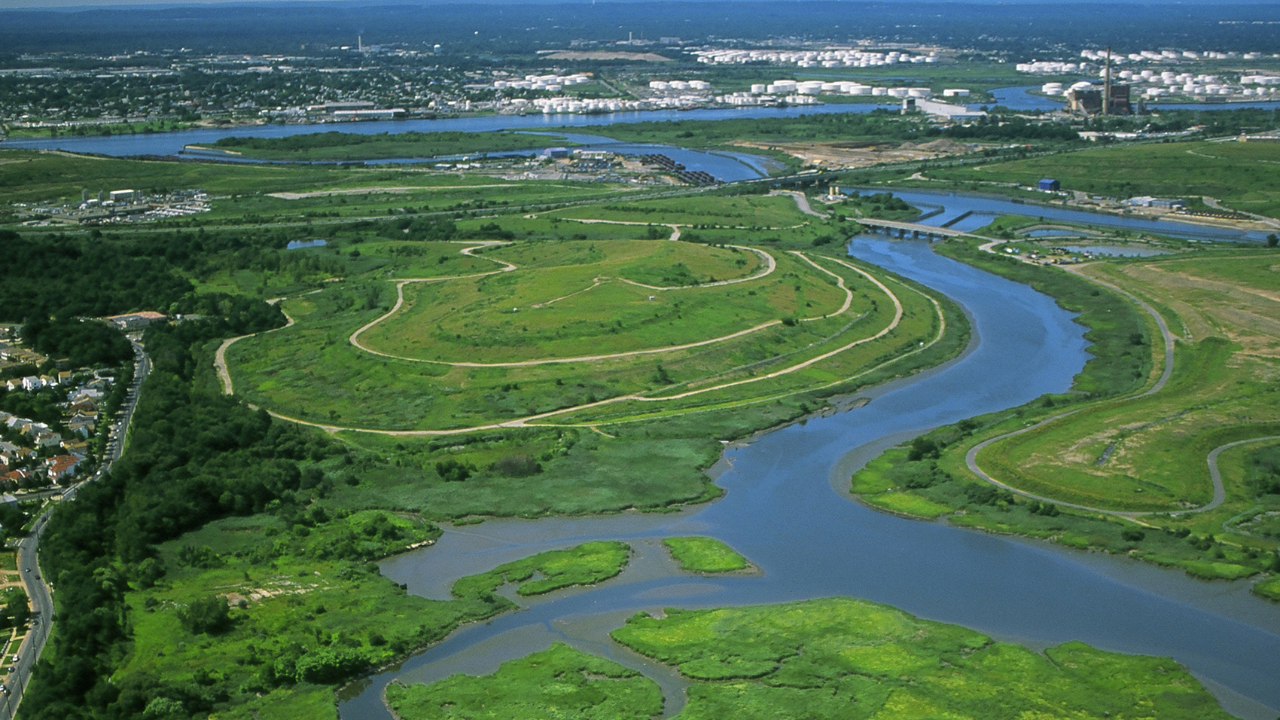 In the 1990s, New York chose wetlands over conventional storm sewers on Staten Island