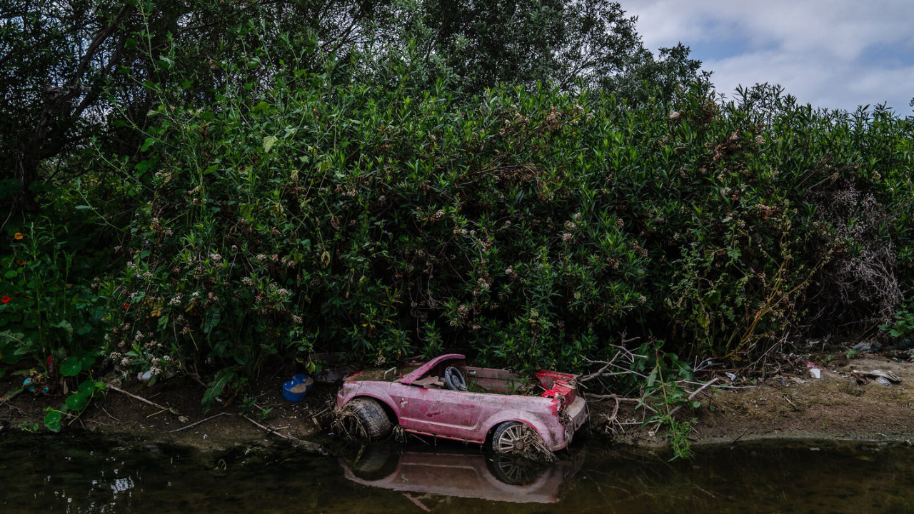 In 1986, a California city began polishing sewage through constructed marshes