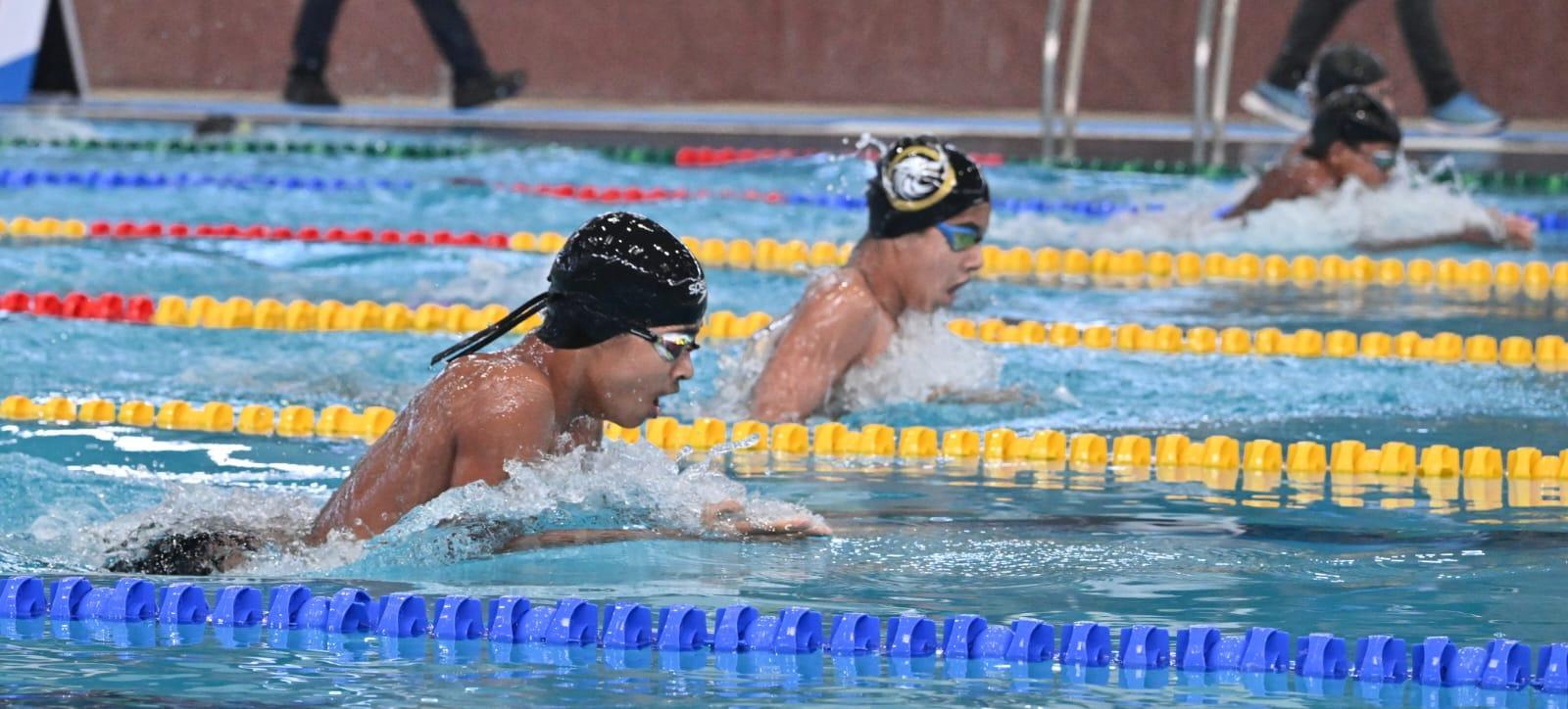 swimming-1.jpg