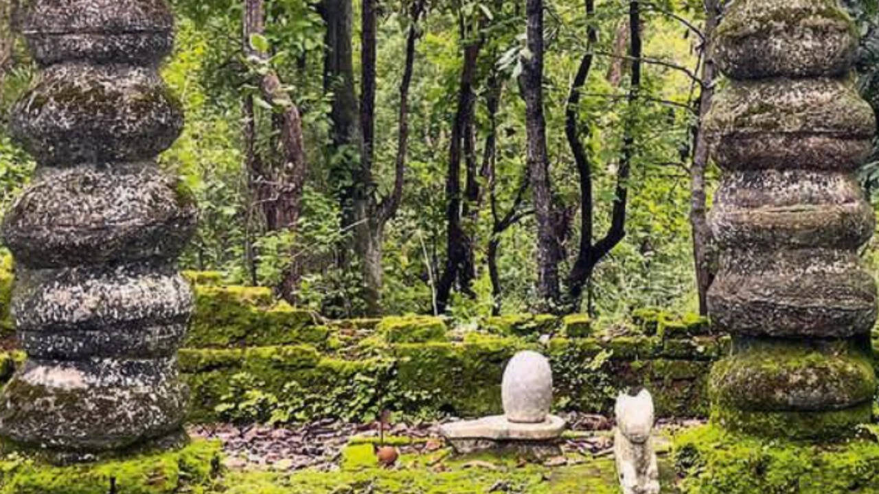In MP, a tribal shrine turns out to be 65-million-year-old rare coral fossil