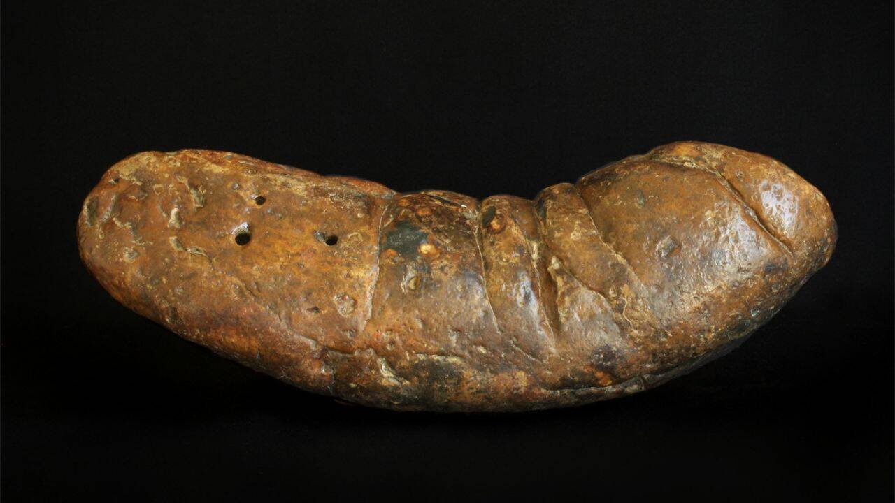 What does the fossil record tell us about prehistoric animal poop