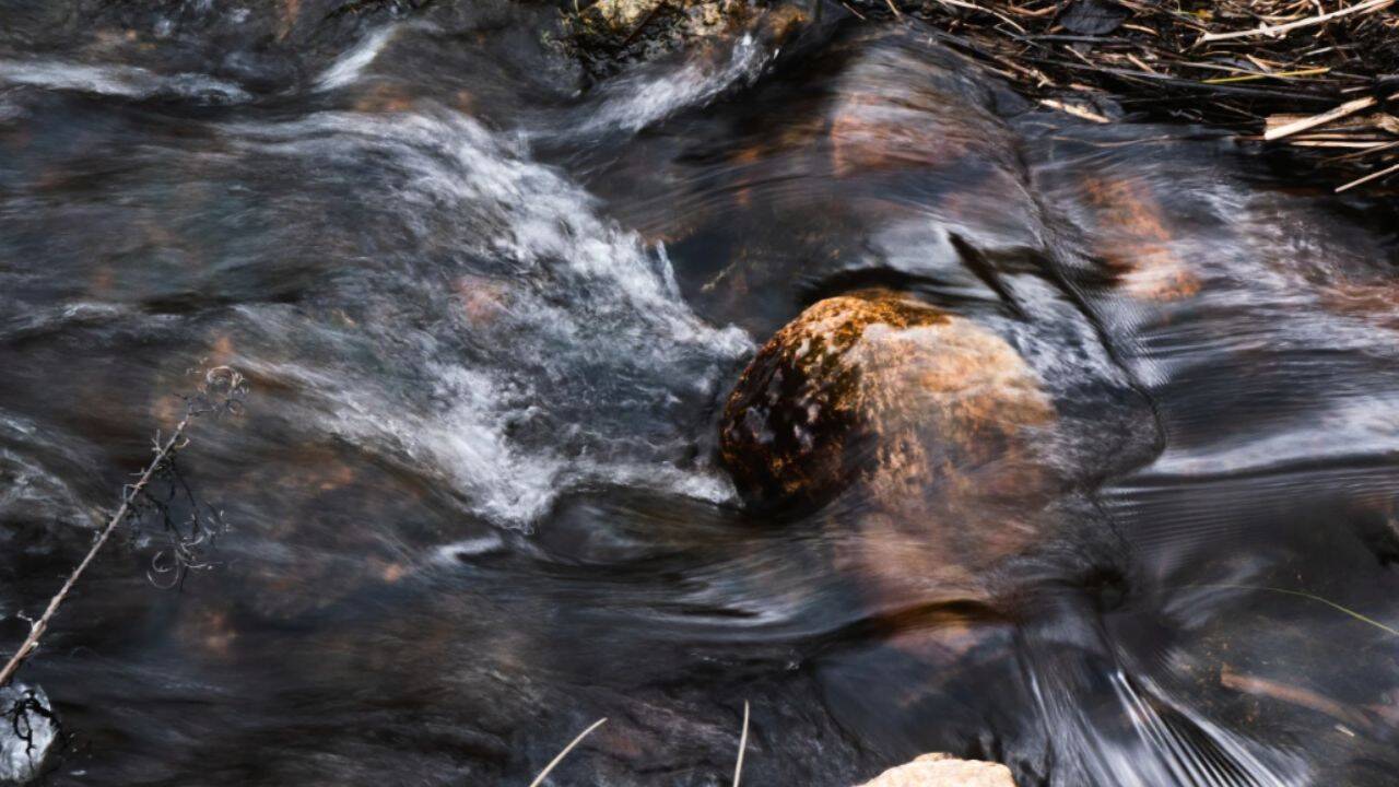 Water flows down a stream at Tidmarsh Wildlife Sanctuary