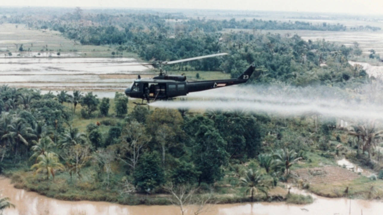 The war that keeps being born: Agent Orange and its multigeneration effects