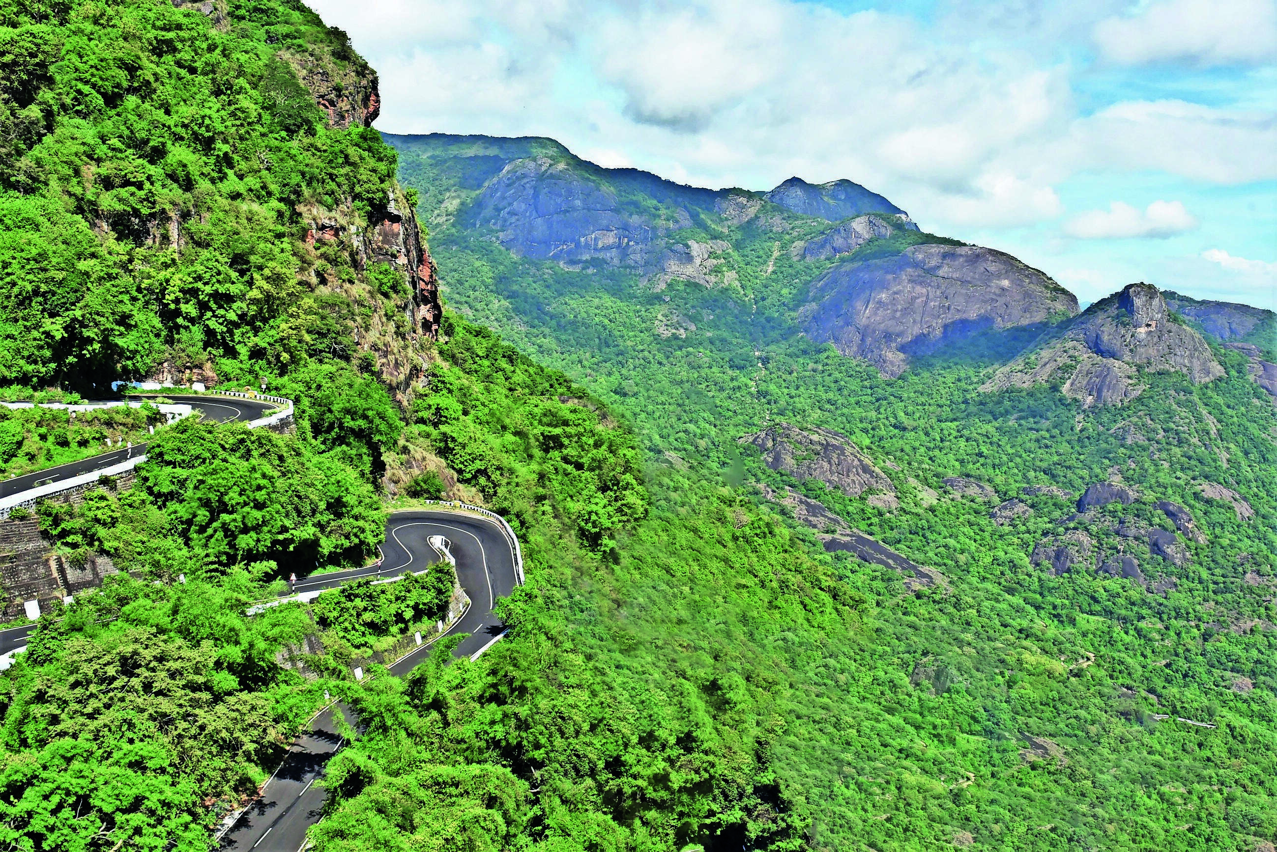 Tamil Nadu Biodiversity Board Fails Statutory Goals, BMCs Inactive