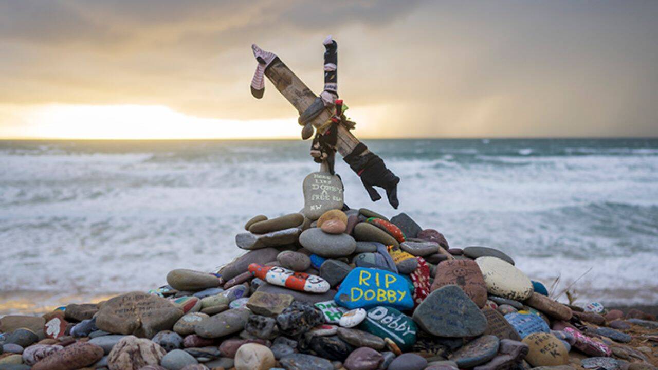 Harry Potter fans get £430m power link between UK, Ireland rerouted to save Dobby’s ‘grave’