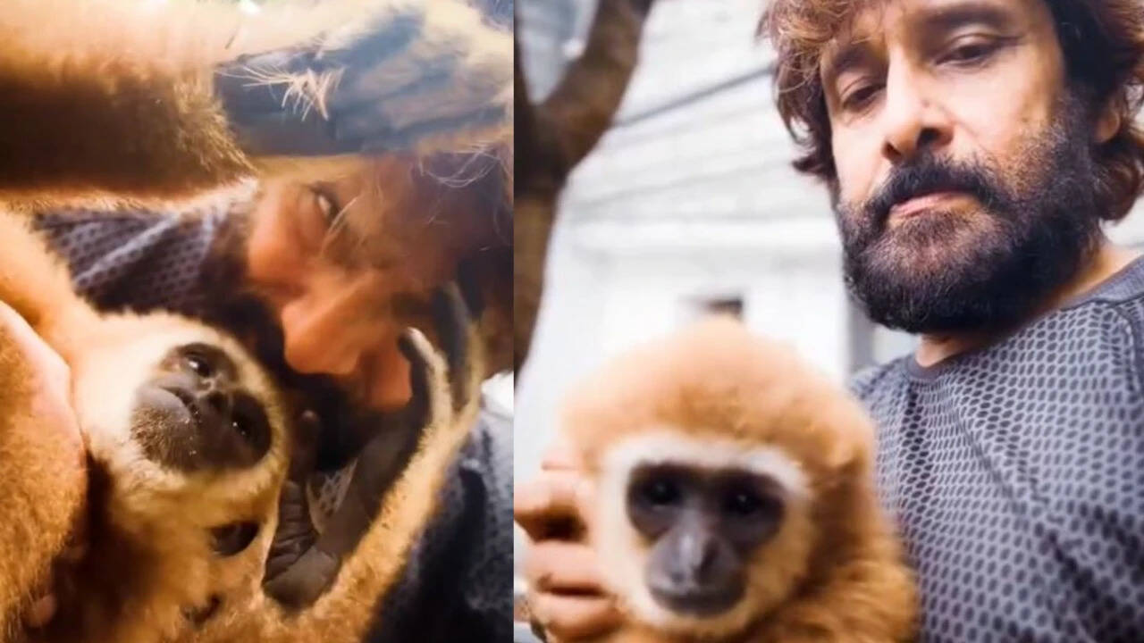 Chiyaan Vikram faces online backlash over Lar Gibbon video