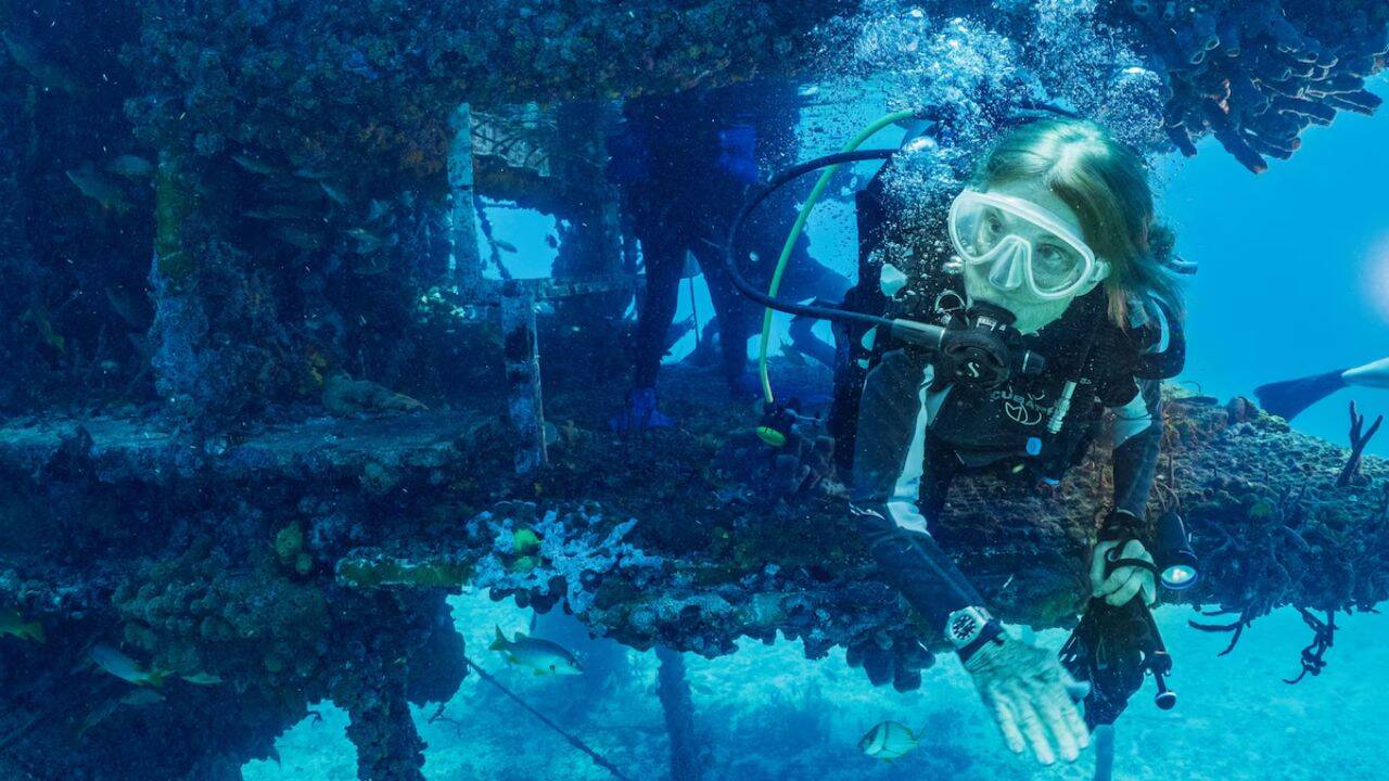In 1970, Sylvia Earle led five women into an underwater lab for 14 days
