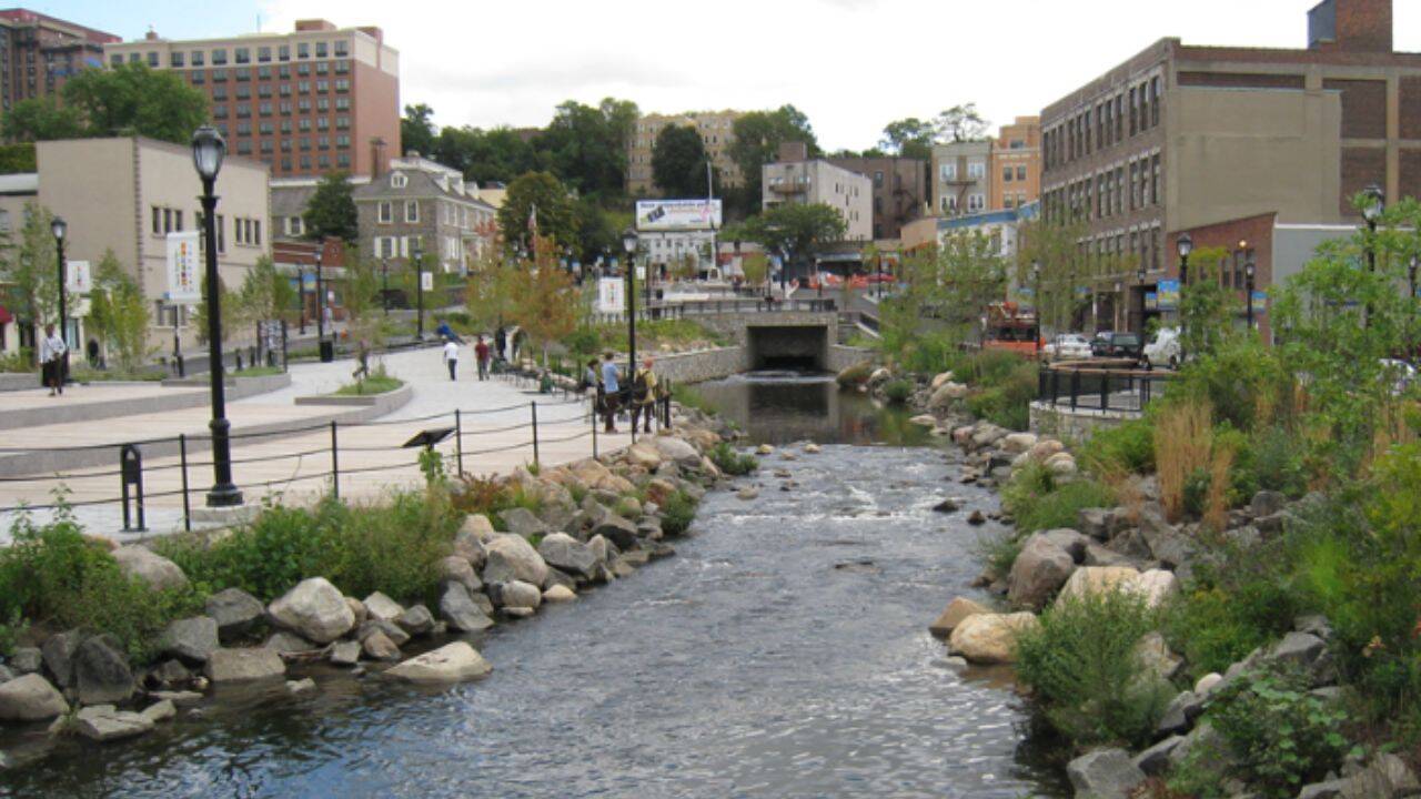 A buried river was uncovered in Yonkers; 6 months later, wildlife had a 14,000 sq ft habitat