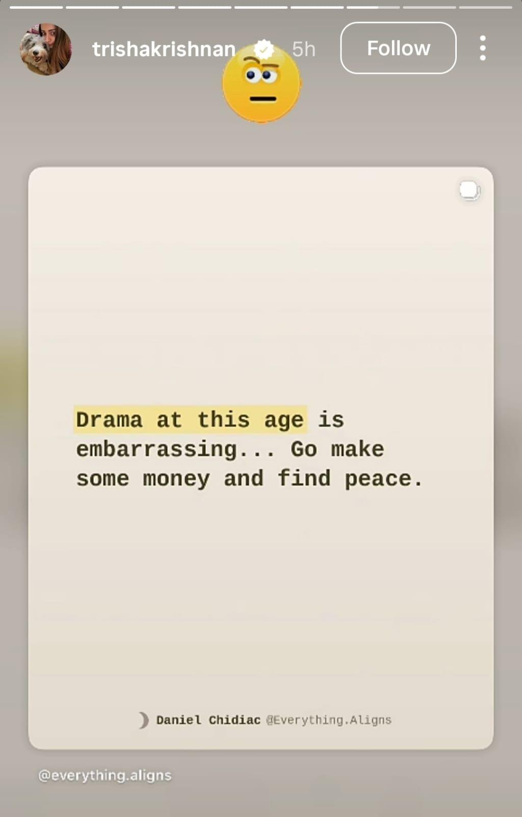 Trisha's Instagram story