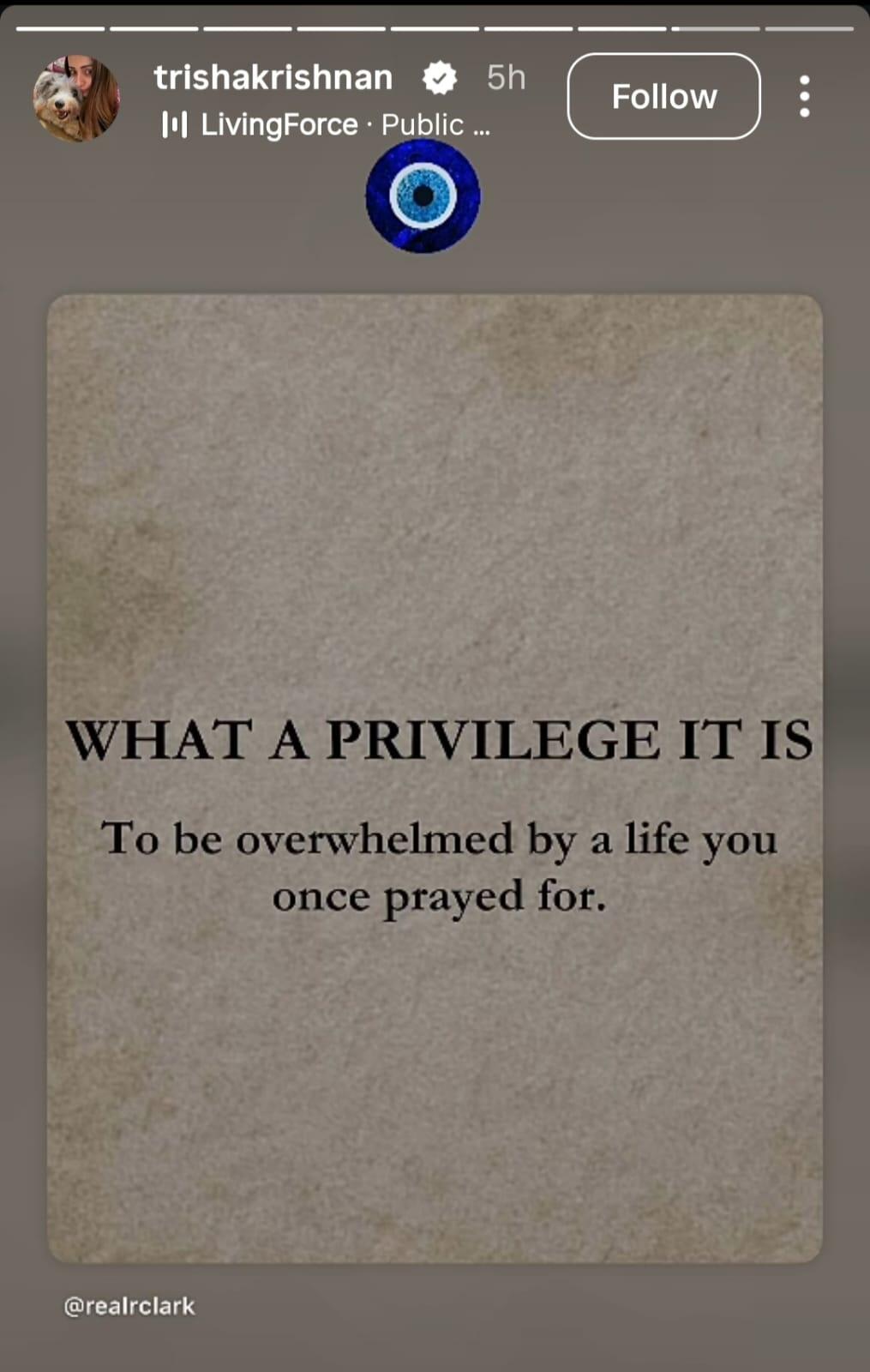 Trisha shared another post on her Instagram story