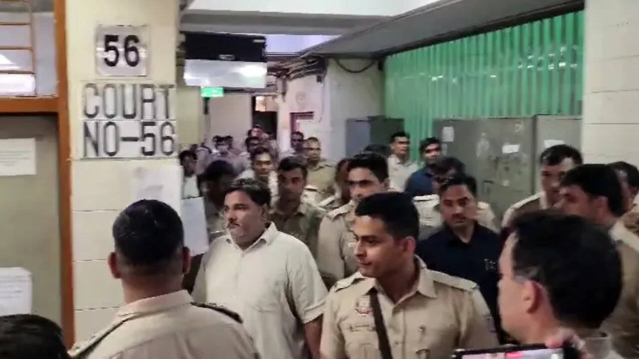 Delhi Riots: Two Convicted in IB Officer Ankit Sharma Murder Challenge Life Sentences in High Court