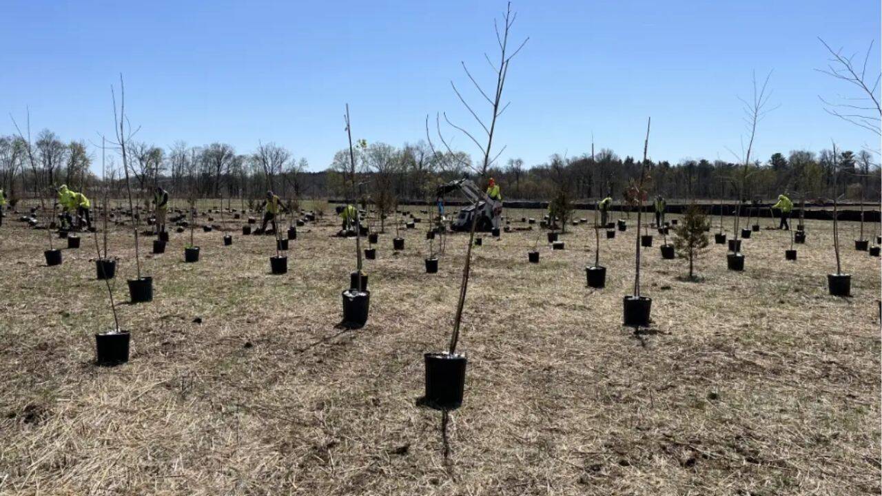 New Jersey begins restoration work to bring back forest and wetland habitat along Raritan river