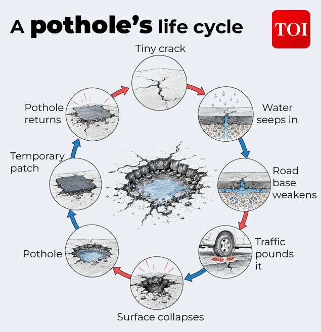 Pothole's journey