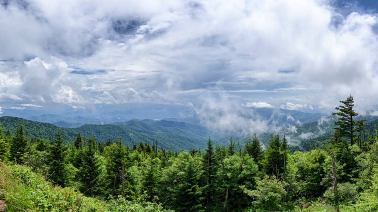 Tennessee farmer refused $20 an acre for national park land