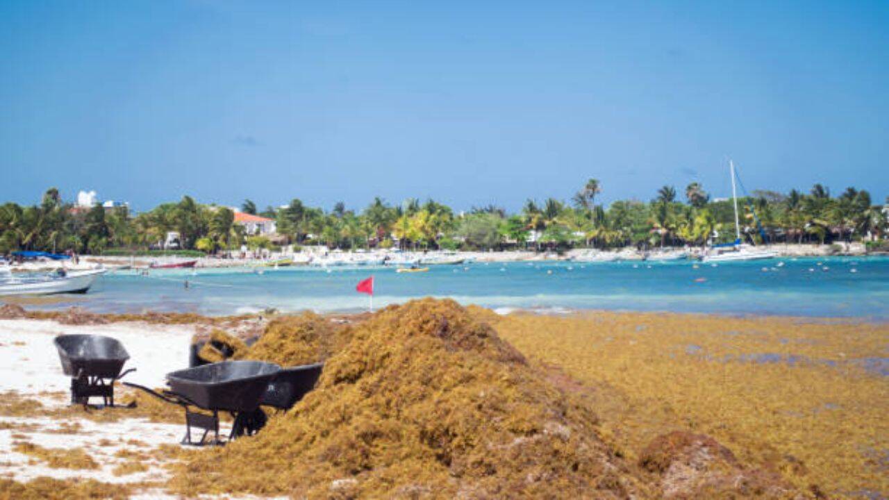 A loss for Mexican tourism<br><br>