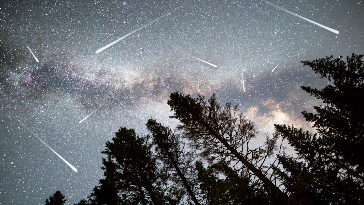 Perseid Meteor Shower 2026: When and where to see the magical display