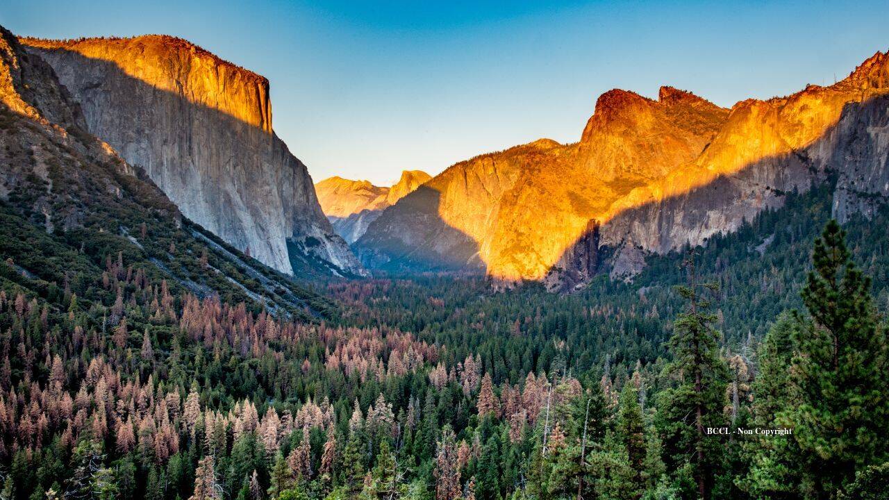 Yosemite’s disappearing wetlands get massive restoration after 100 years