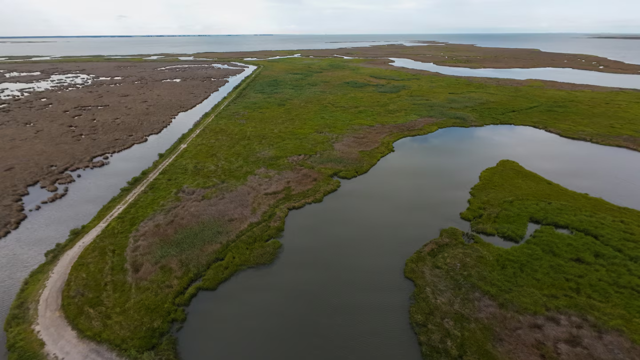 A $13.5 million Maryland project turned dredged sand, silt and shell into roughly 70 acres
