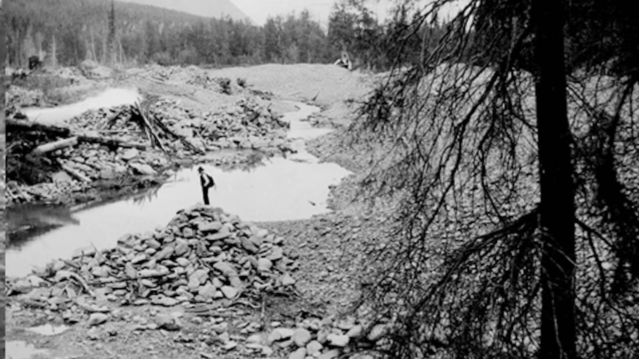 The National Forest Foundation report clarifies that the first major restoration project on Resurrection Creek was a 1.5-mile reach started in 2006 by the U.S. Forest Service.