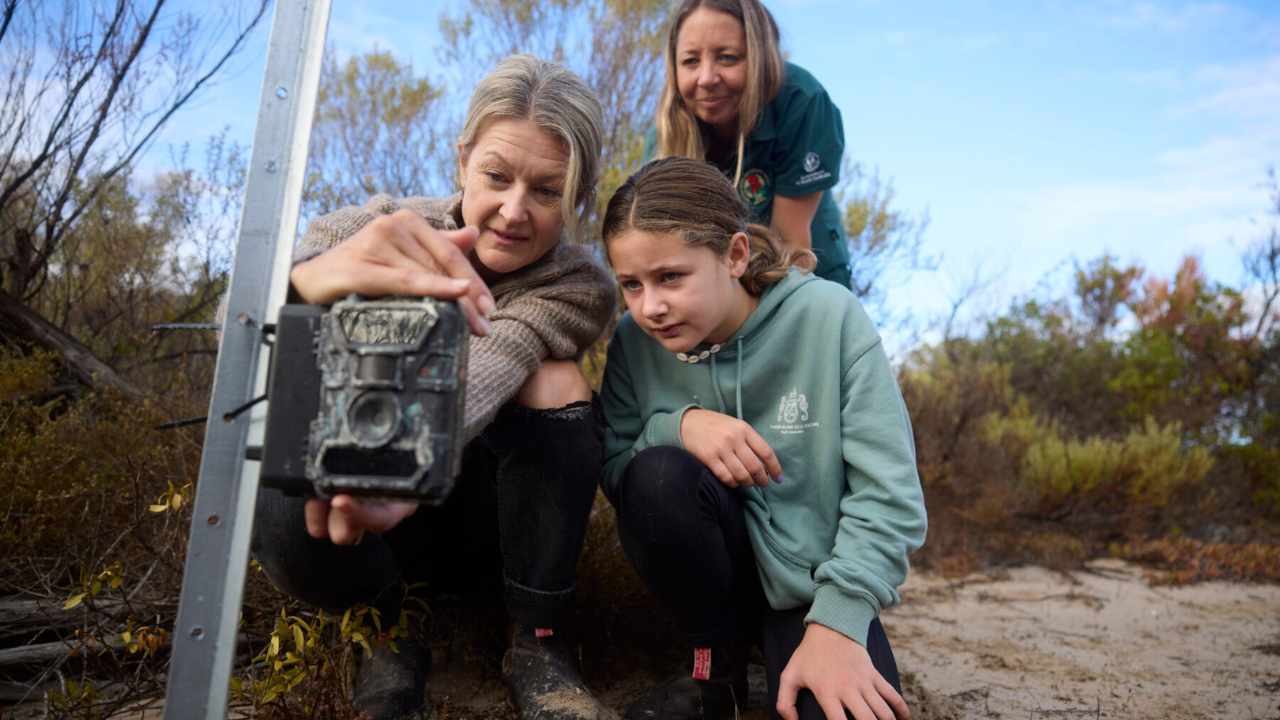 Australian family bought a remote island to run a sheep farm, now they are turning it into a $4.8 million conservation sanctuary for endangered wildlife.<br>