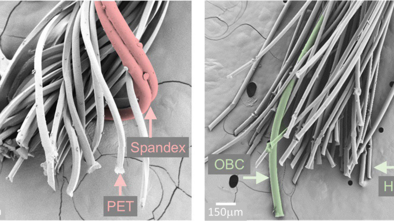 SEM images compare conventional PET-spandex yarn with MIT's new recyclable polyethylene yarn.<br>