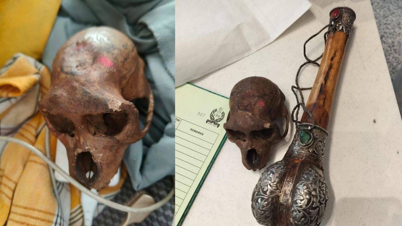 CISF personnel found a suspected monkey skull in passenger baggage at Delhi airport.