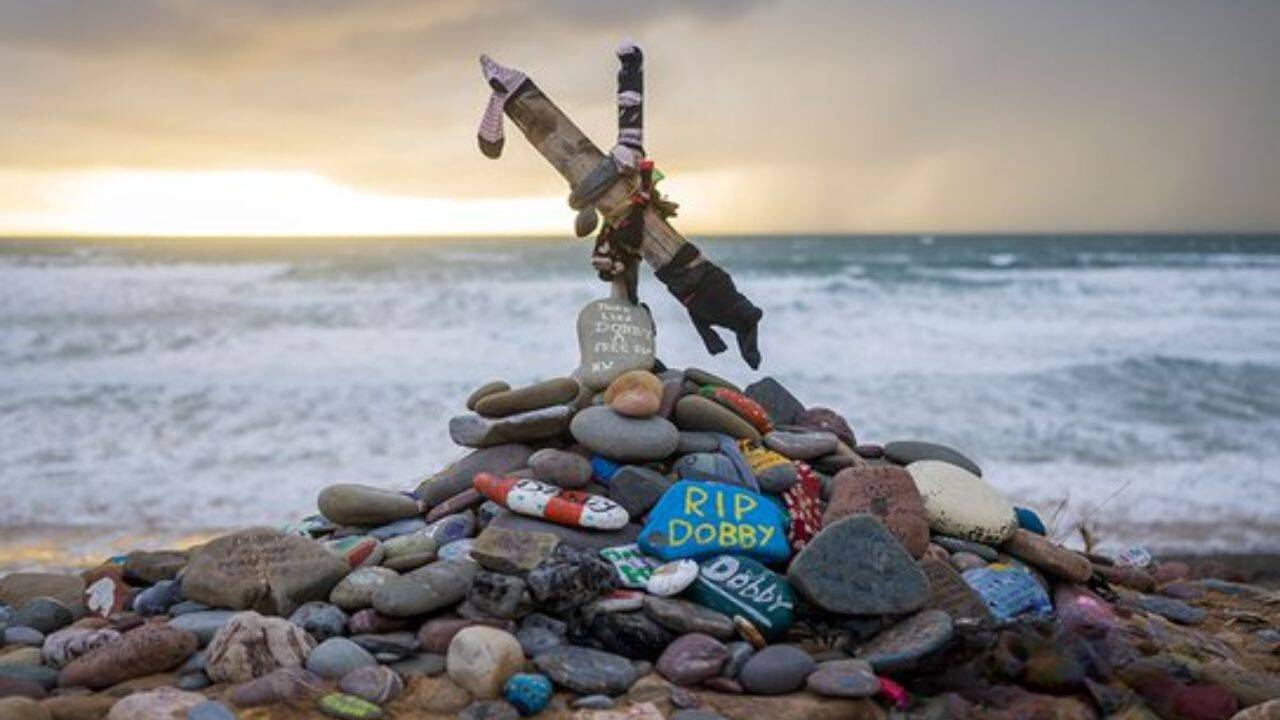 Harry Potter fans forced a power cable between UK and Ireland to be relocated as it would desecrate the ‘grave’ of Dobby