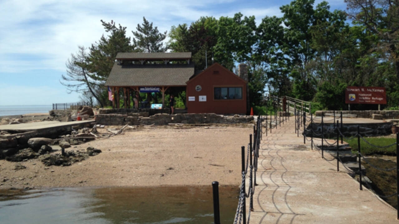 Elizabeth Hird bought Outer Island in 1964; in 1995, she donated it for wildlife, research and education