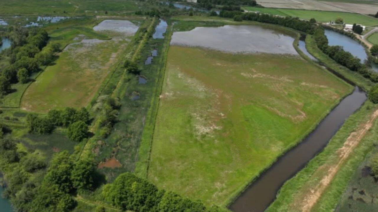 Washington reconnects two islands in 270-acre Skagit estuary restoration