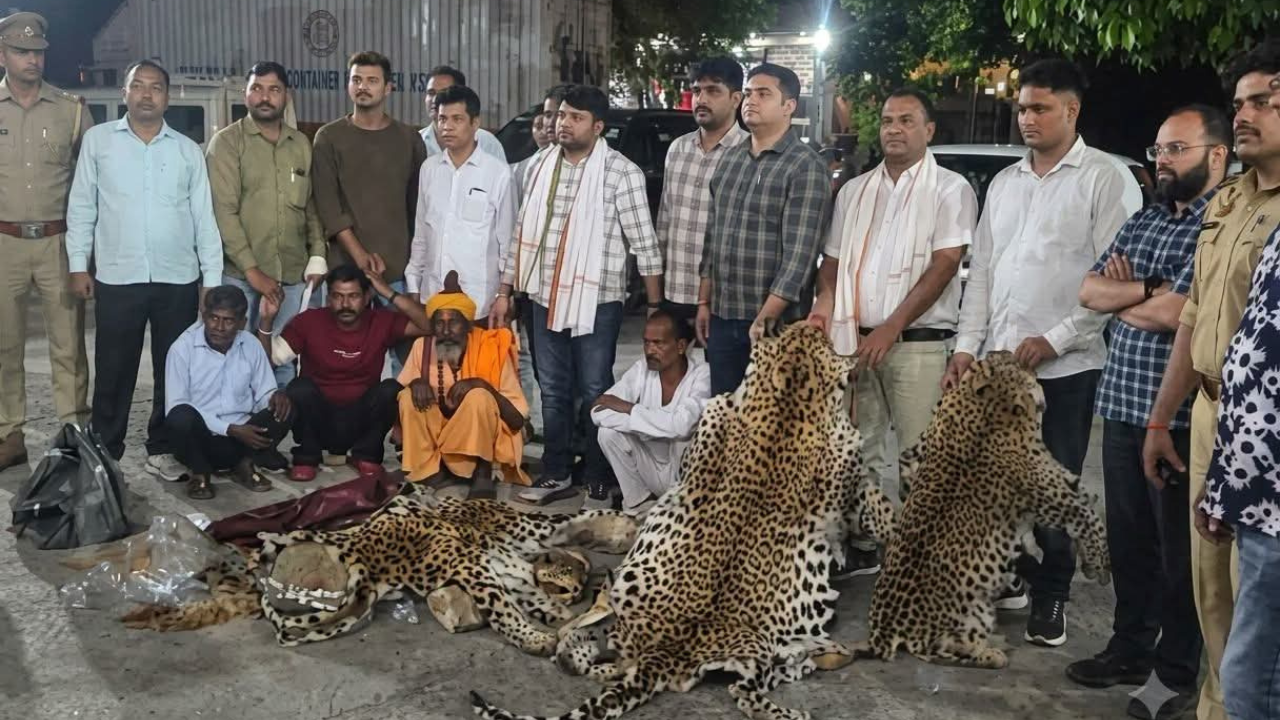 Sacked Delhi Police constable held for killing of 10 leopards in Kuno National Park
