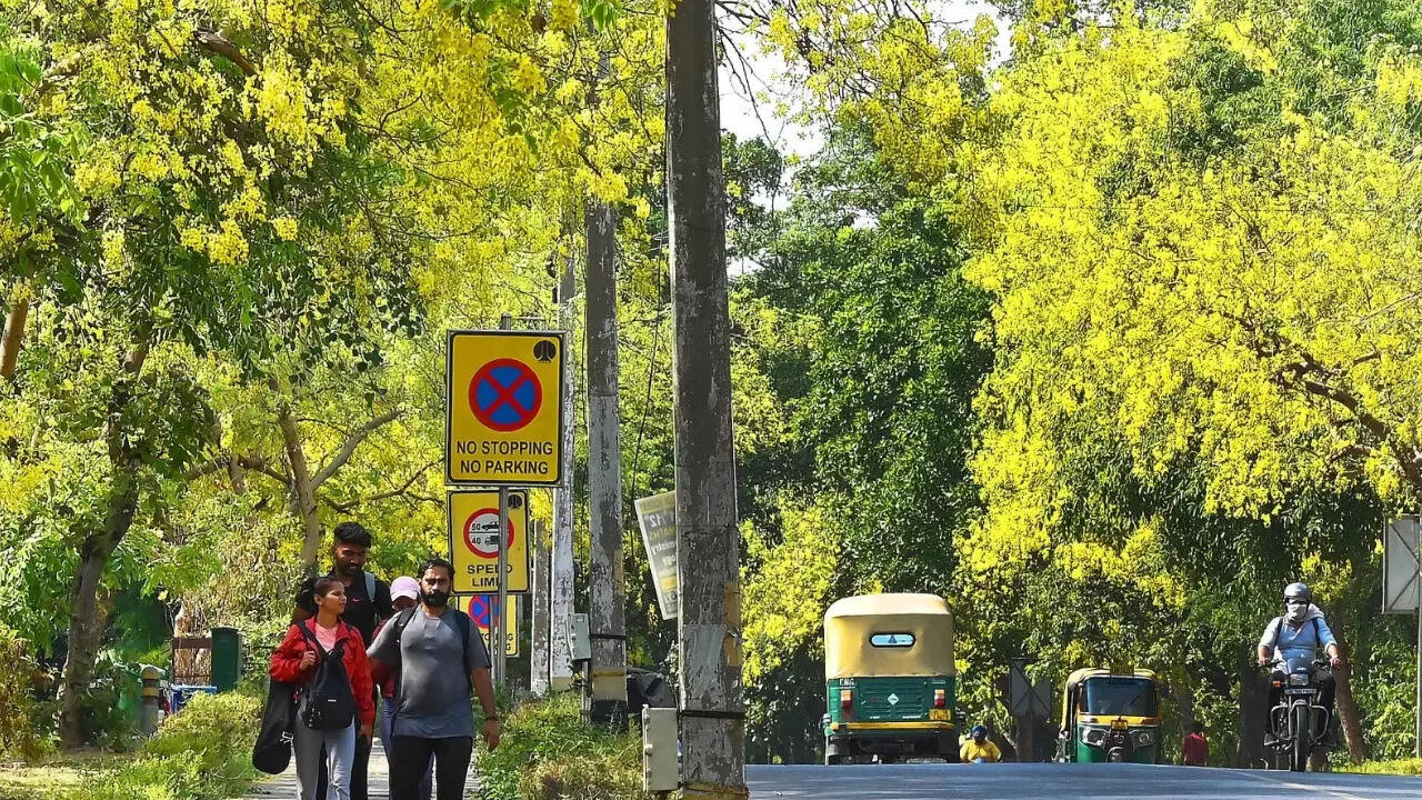 CAG audit: Green India Mission fell 98% short of forest cover target