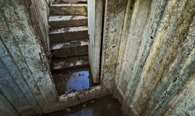 A surprise discovery beneath the garden became one of the most unusual features of their home.