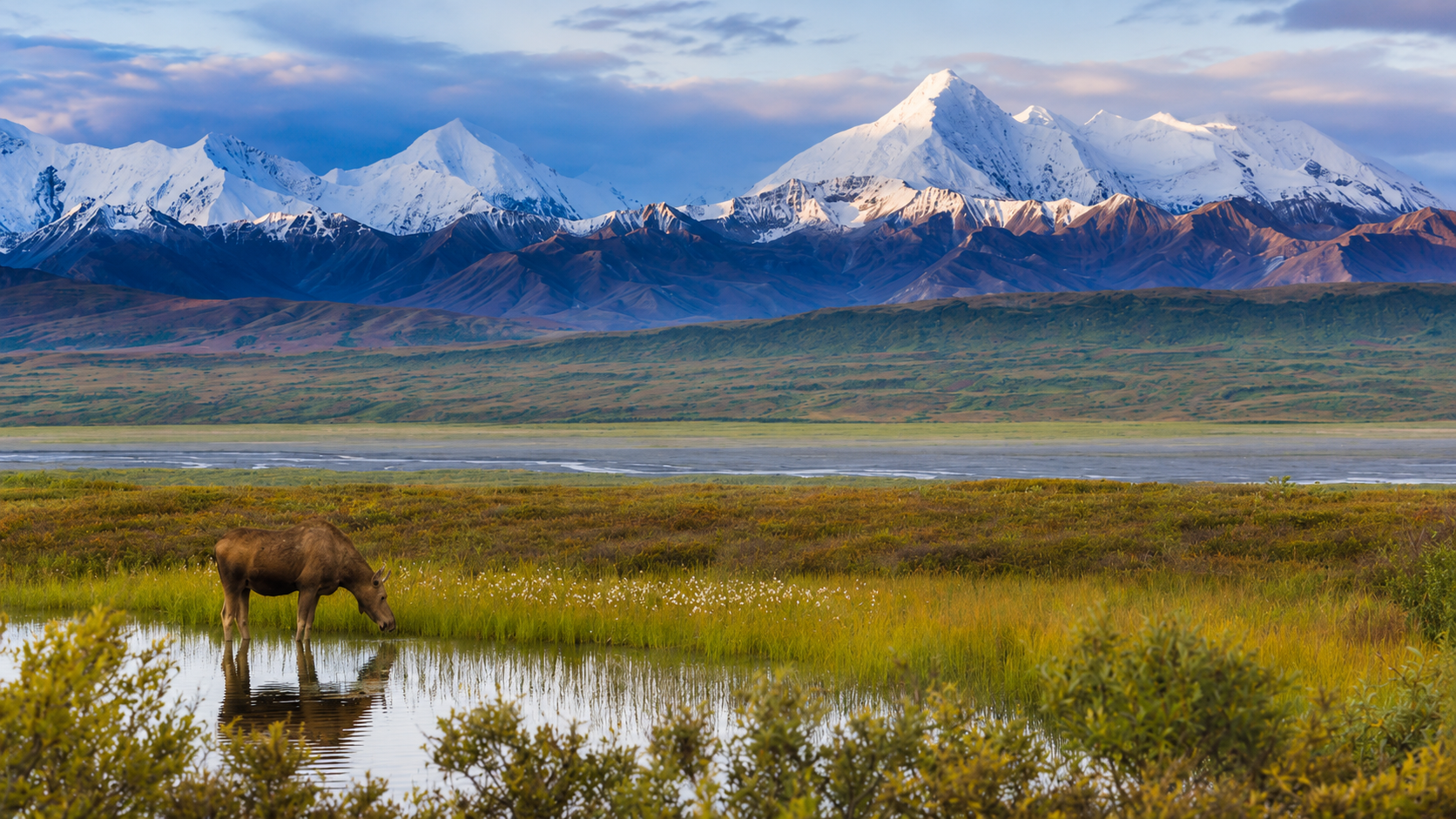 Alaska’s permafrost holds ancient carbon; why this thaw could cost $43 trillion (Image: AI-generated)<br><br>