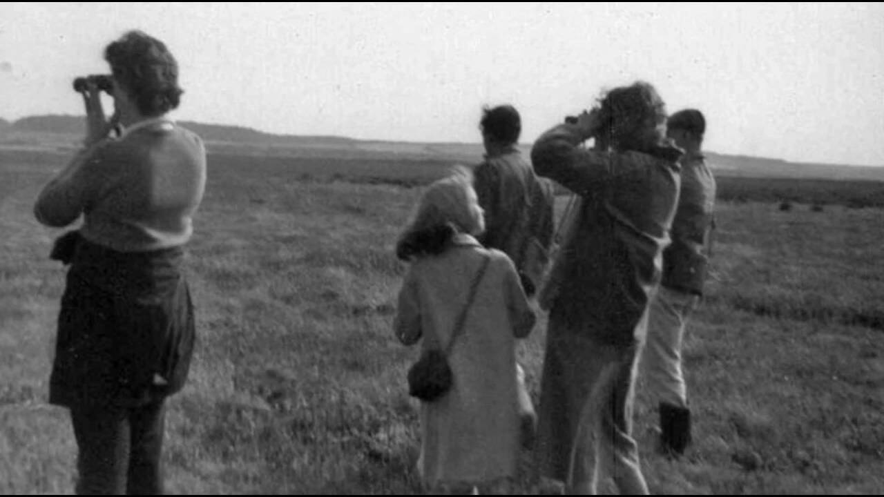Bird watching on Scolt Head Island, Brancaster, Norfolk