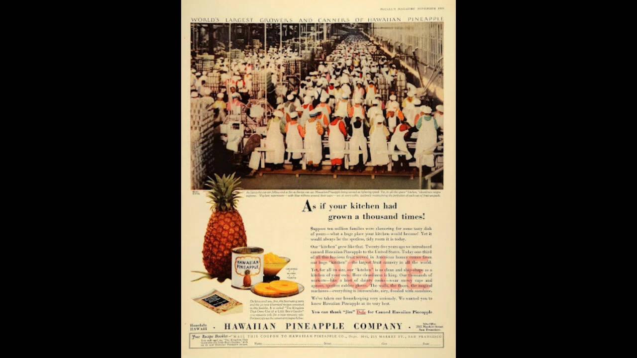 pineapple business