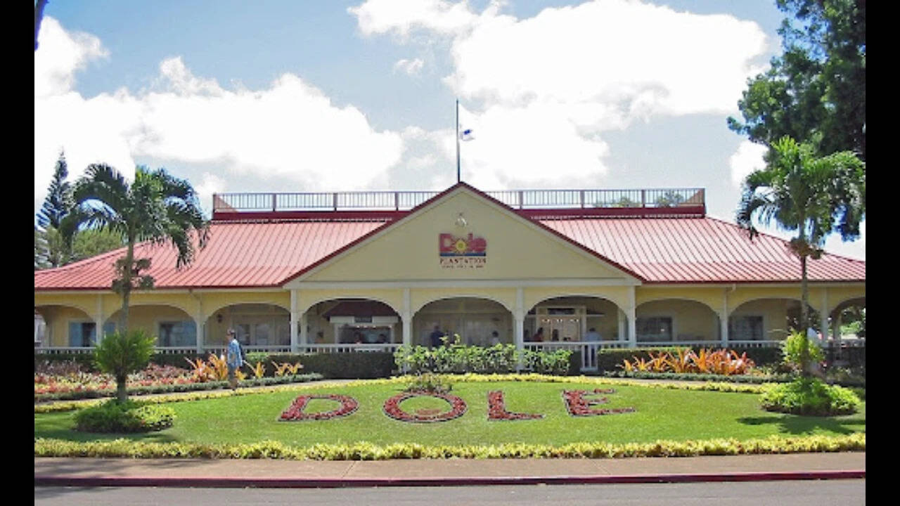 Dole Pineapple