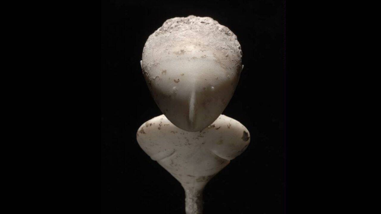 How its unusual face and upward-looking pose make the Stargazer distinctive (PC: The Cleveland Museum of Art)<br>