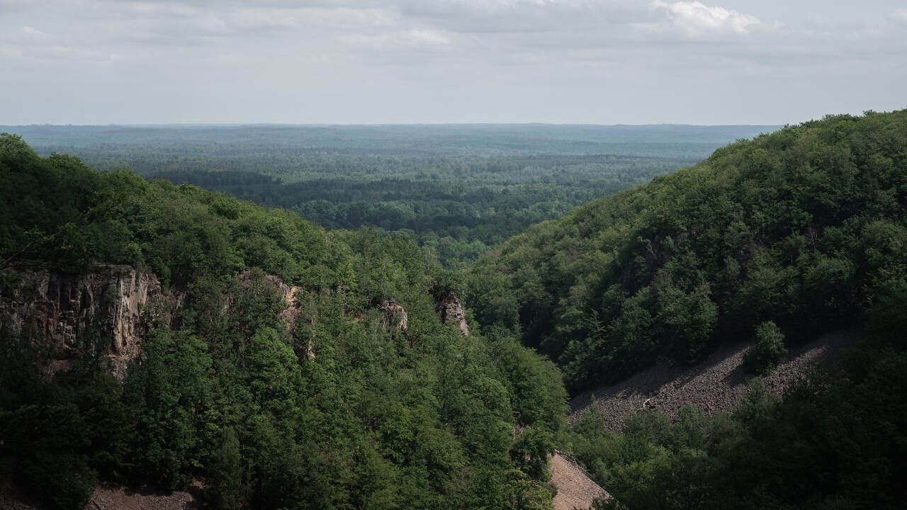 Sweden’s Söderåsen went from deforested plateau to one of northern Europe’s largest protected forests