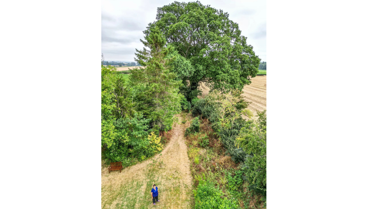 The road that could come close to her home<br>