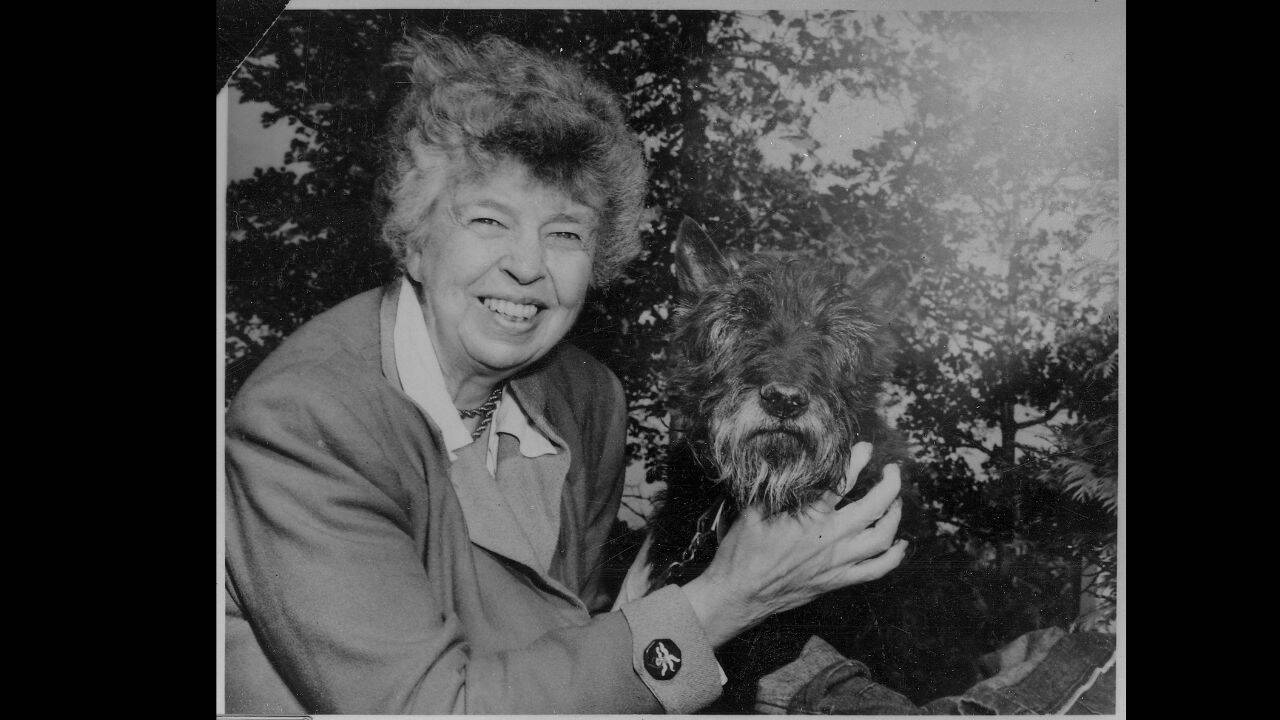 Roosevelt with her dog Fala in 1951