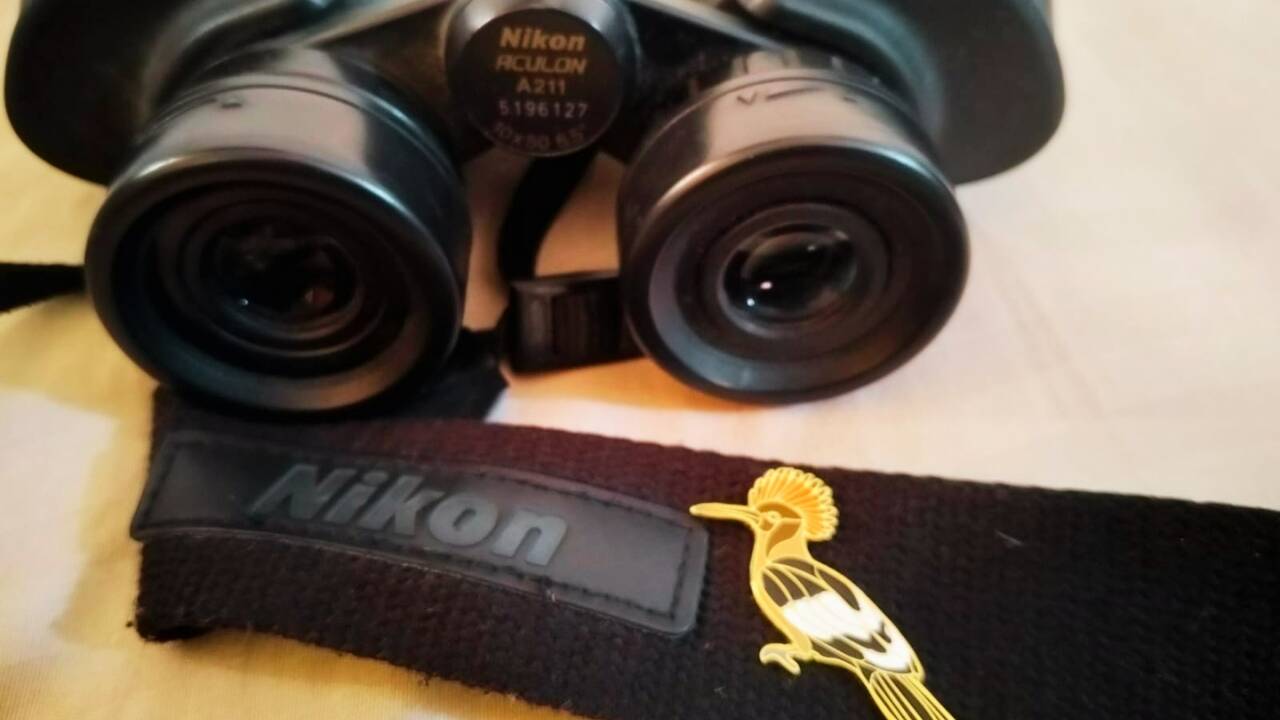 Binoculars: Birding gear