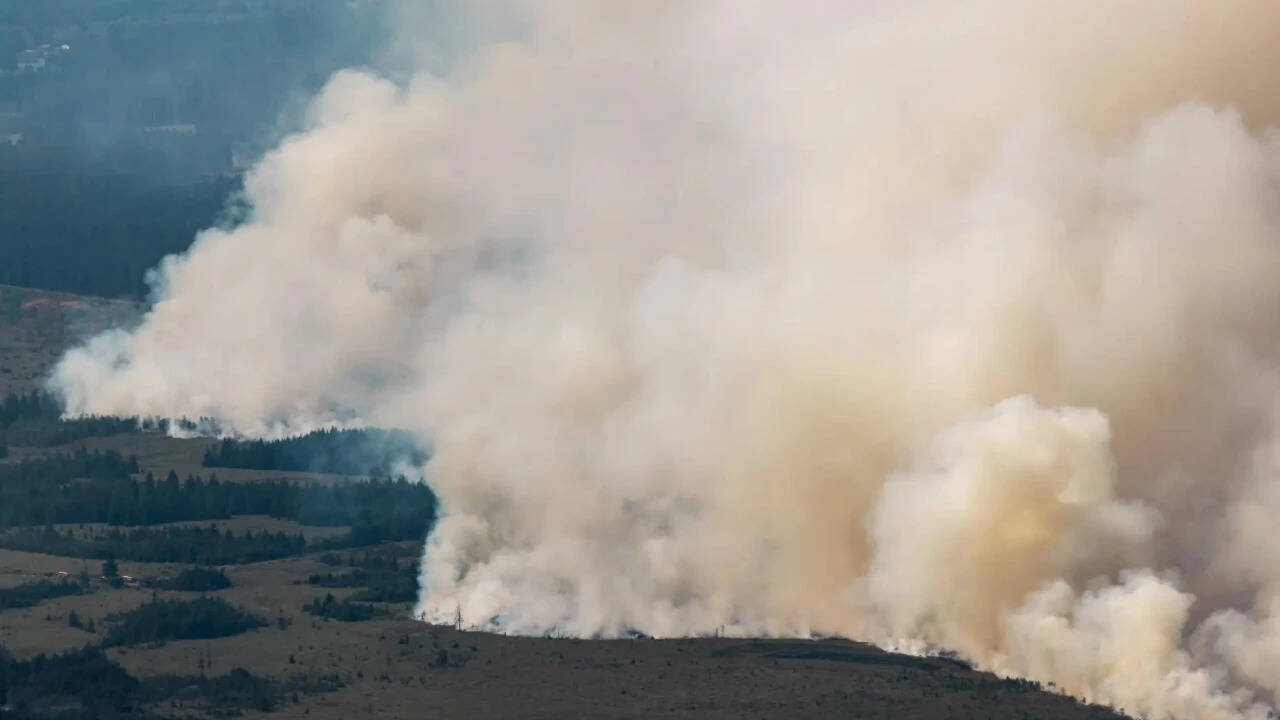 3,000 hectares up in flames: Belgium battles its biggest wildfire on record