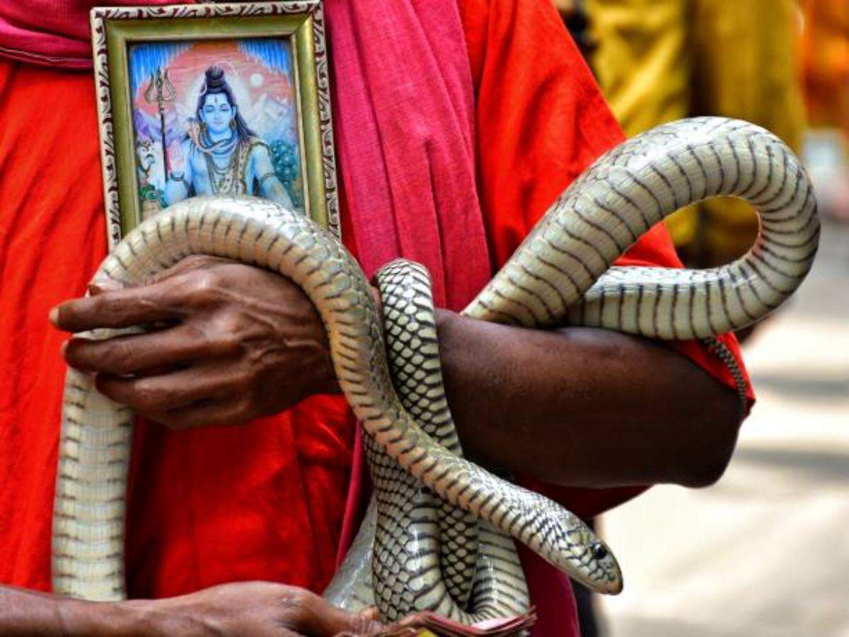 Snakes worship