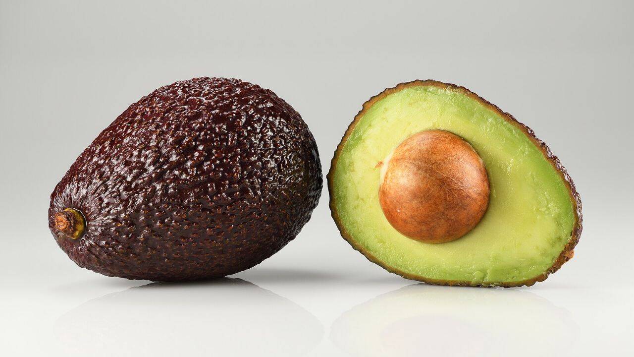 Scientists found genetically unusual avocados in Nicaragua that may preserve clues of migration