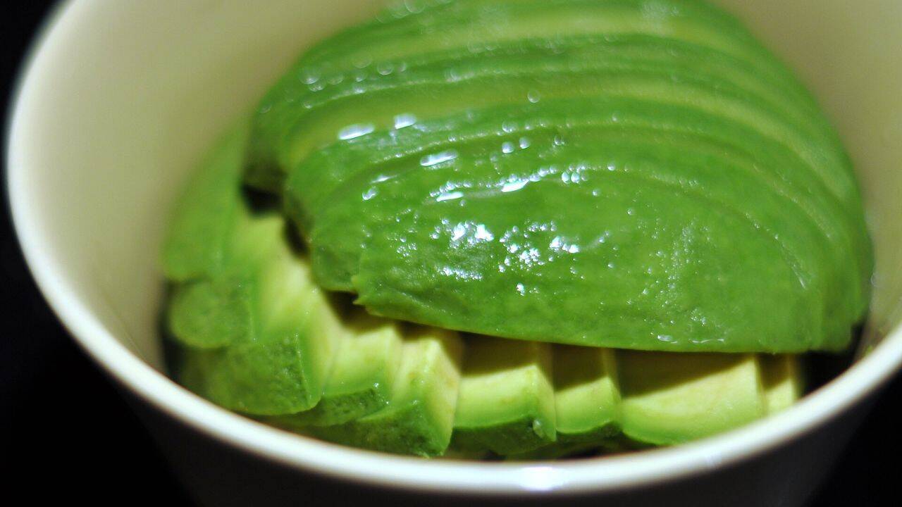 Could these ancient varieties help protect modern avocados