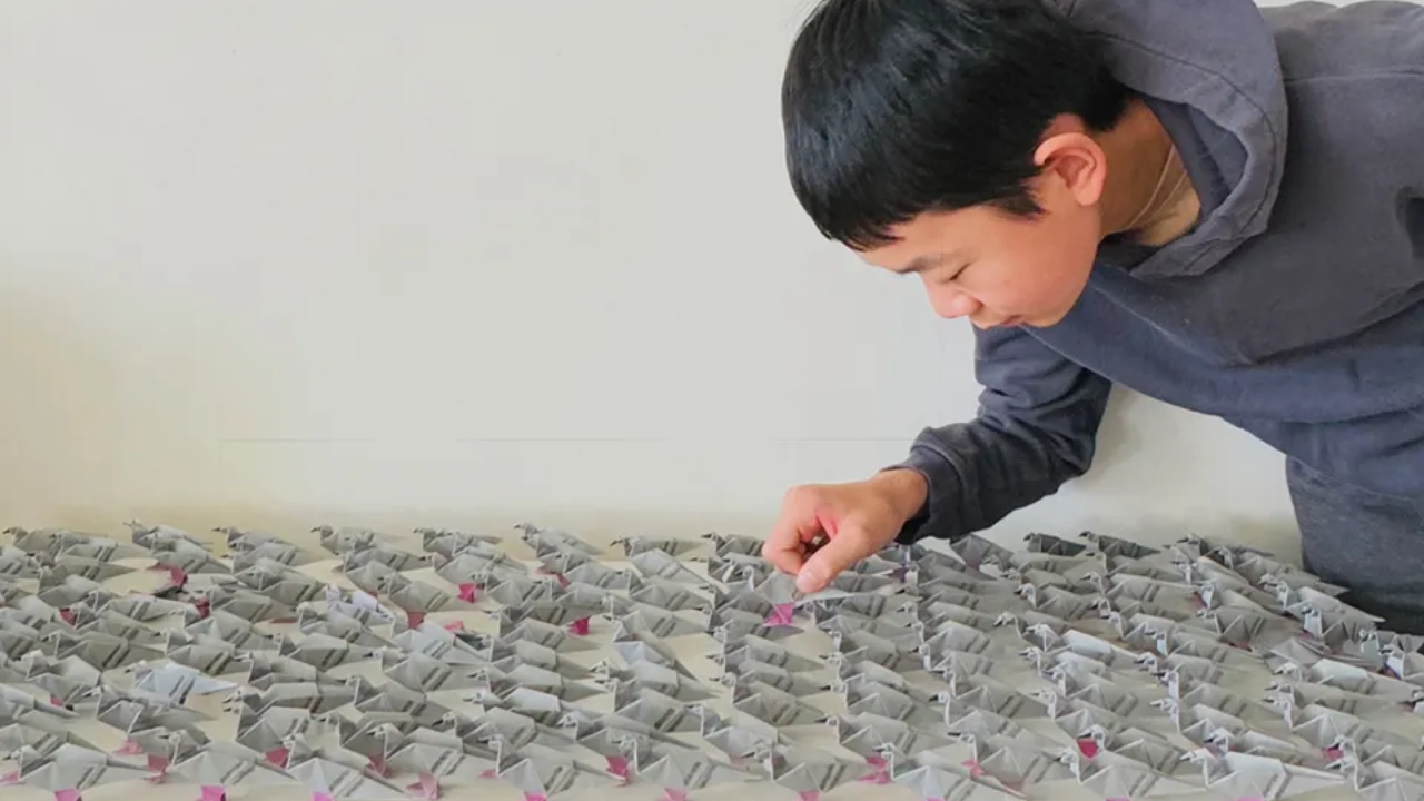 Miles Wu found an engineering question inside his love of origami (Image: Society for Science)<br>