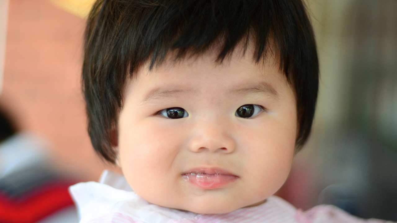 File Photo: Canva<br>
